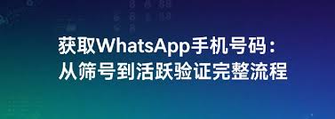 游客